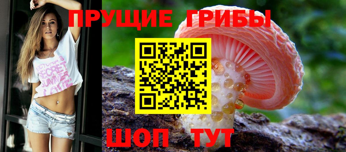 Галлюциногенные грибы Magic Shrooms Советск