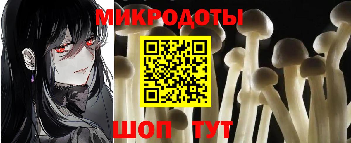 что такое   Вход с VPN  Советск  Псилоцибиновые грибы мицелий 