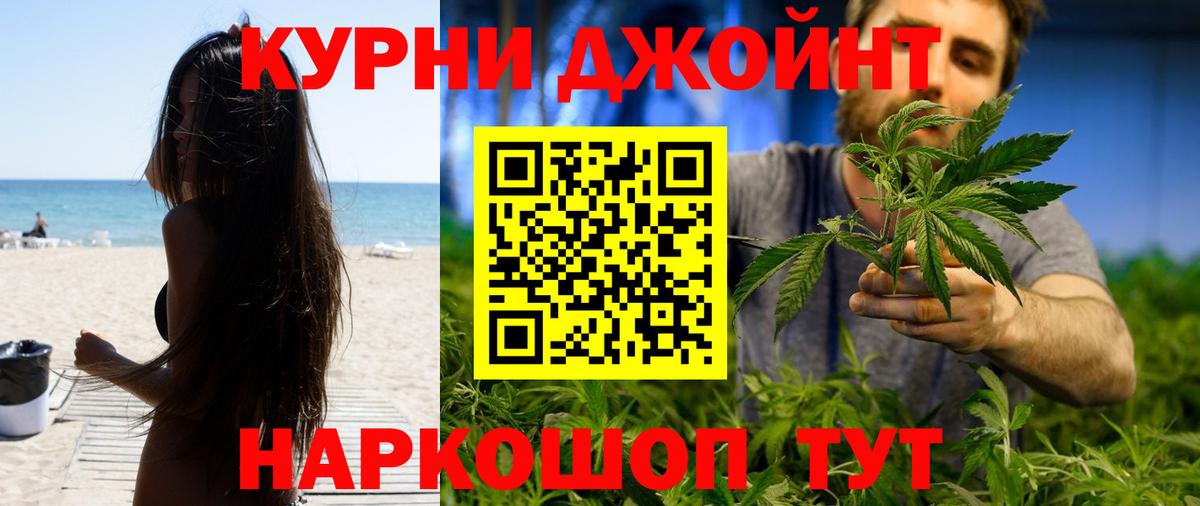 Каннабис конопля Советск