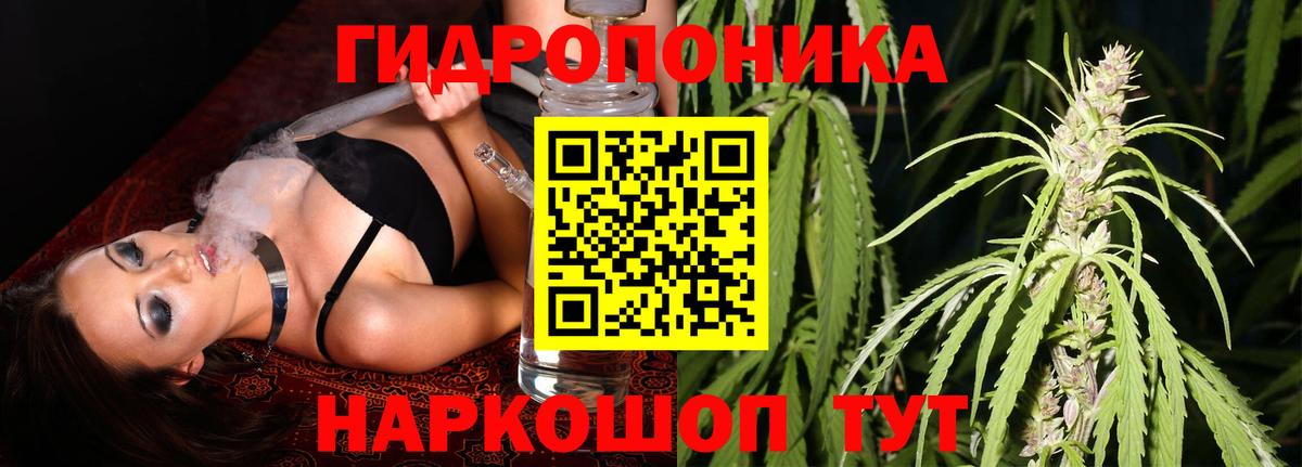 МАРИХУАНА сатива  Вход с VPN  Канабис OG Kush  Советск 